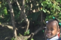 grenada, caribbean, west indie-164